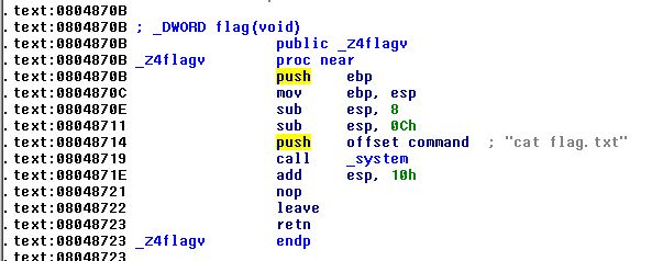 Screenshot of decompiler showing 'flag(void)' function definition, which executes cat flag.txt