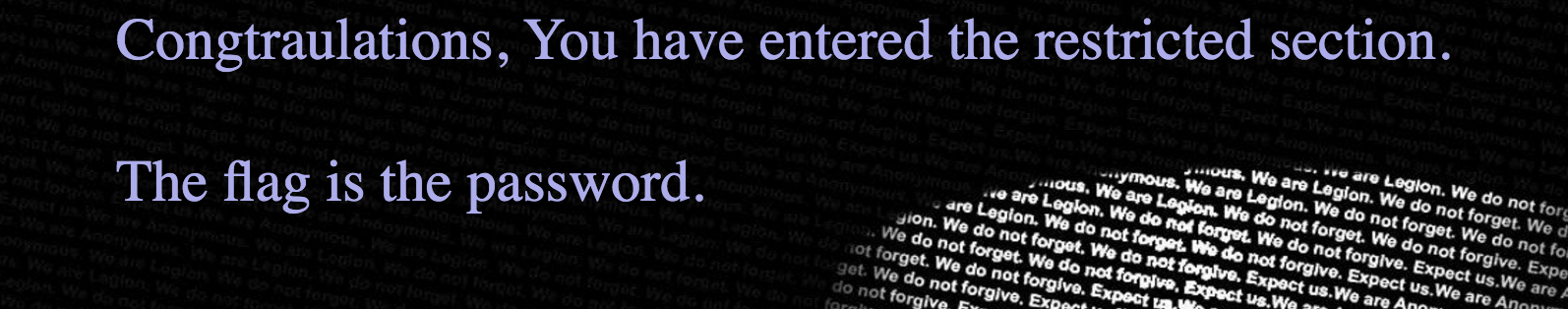 Page displaying flag after entering correct password